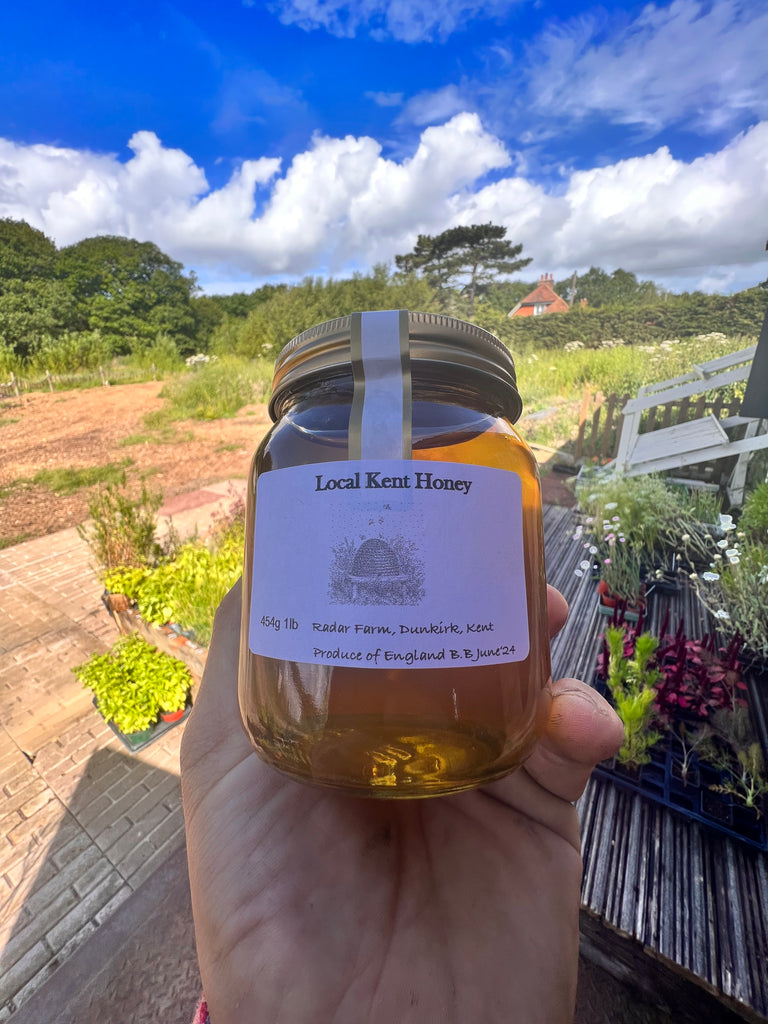 Radar Farm Honey - Large